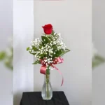 Single rose vase