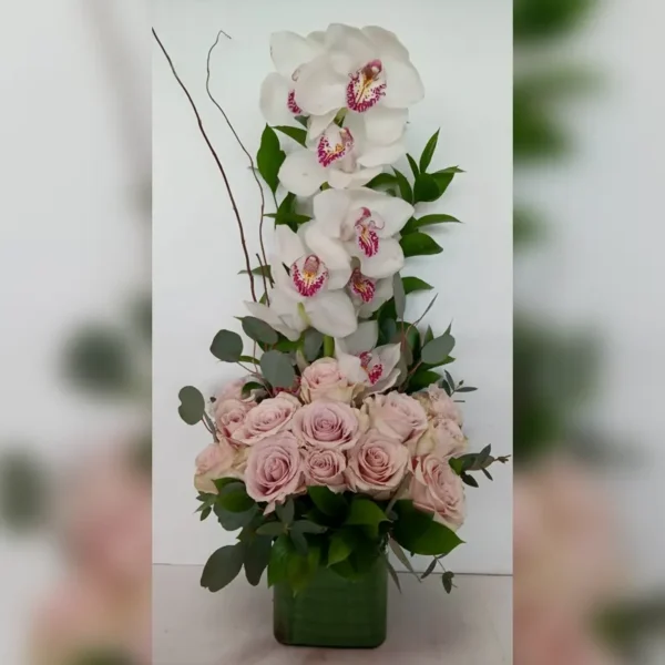 Thai Cymbidium Elegance