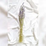 Provençal Preserved Lavender Bundles - Image 2